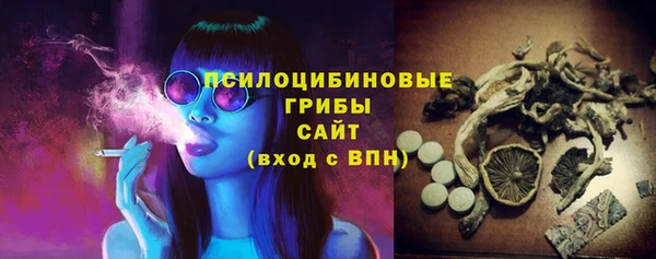 герыч Алексин