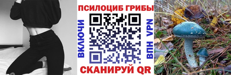 Галлюциногенные грибы мицелий ОМГ ОМГ вход Чишмы